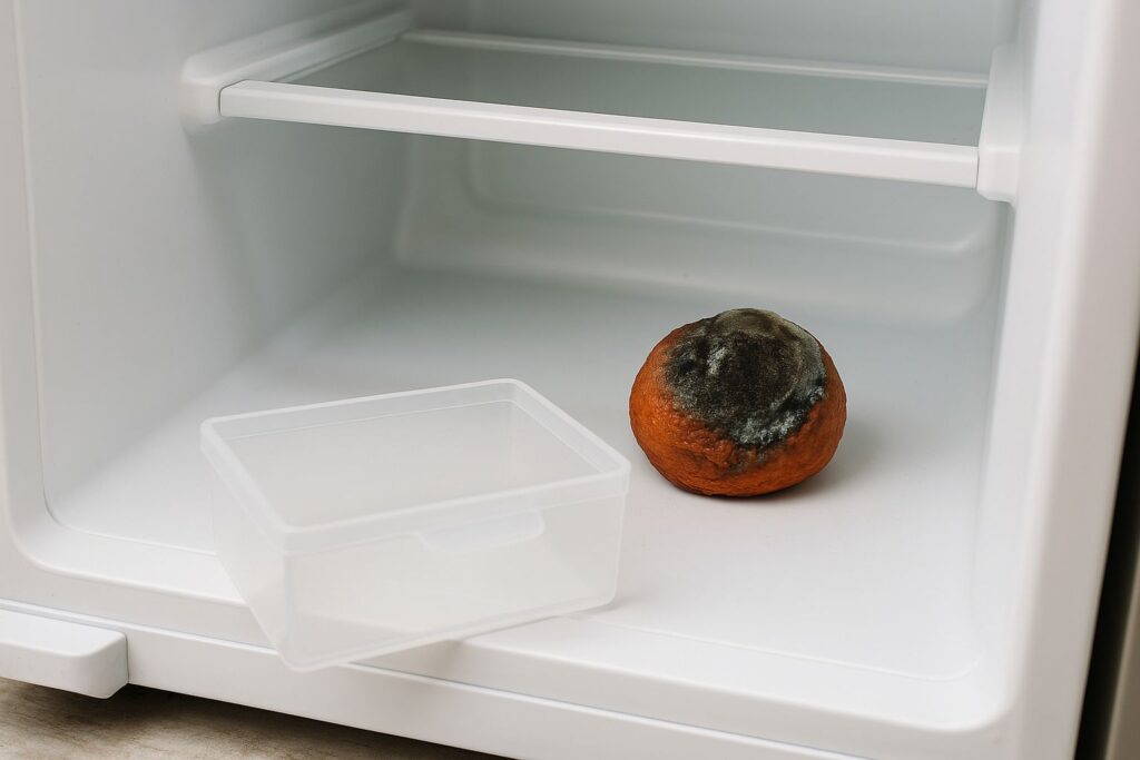 Rotten fruit hidden behind a refrigerator drawer, creating an ammonia or chemical smell.