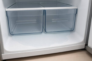 Why Is Water Leaking Inside My Refrigerator? - Fridge Mentor